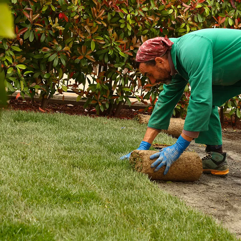 Azienda di giardinaggio e manutenzione, realizzazioni di giardini e aree verdi a treviso